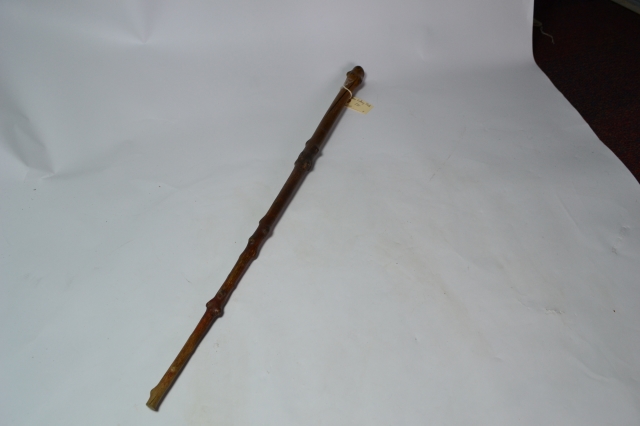 Thorn Walking Stick
