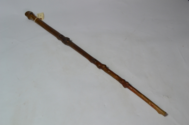 Thorn Walking Stick