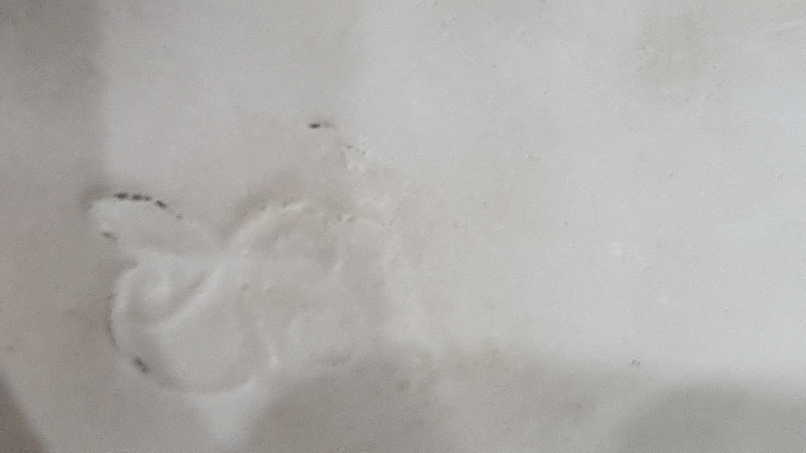 Browse our collection of late 19th c. Yardley's Lavender advertisement pastes and porcelain groups. Highlight: gilt border, Dresden factory marks. Shop now and add history to your home decor.