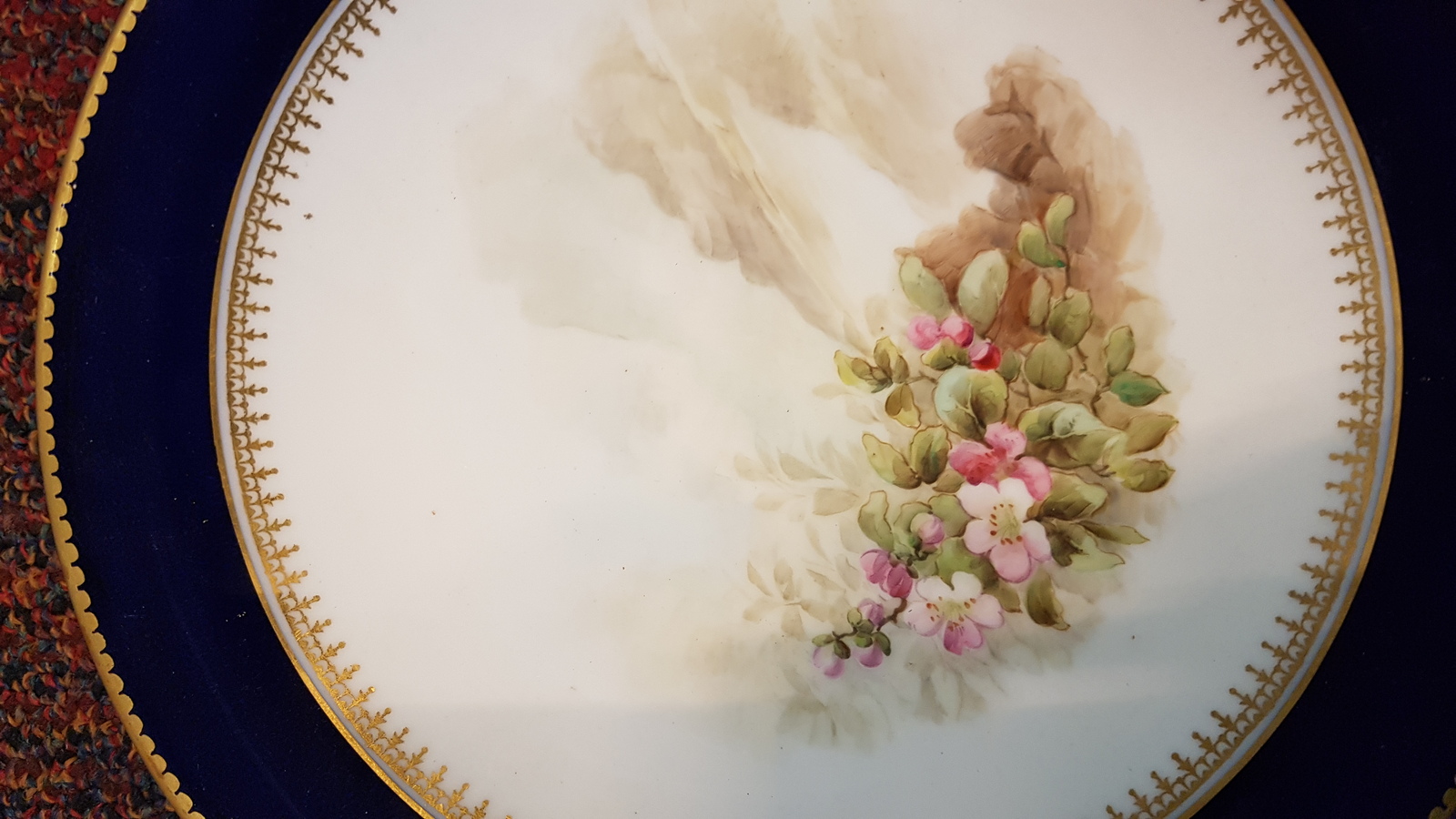Discover stunning 19th century Grainger's Worcester plates, hand-painted with wild flowers. Size 24cm, pattern no. 2541. Excellent condition! Shop now.