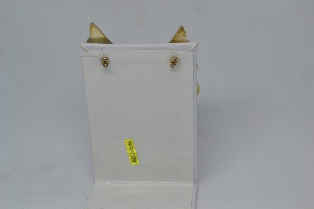 925 Silver Earring